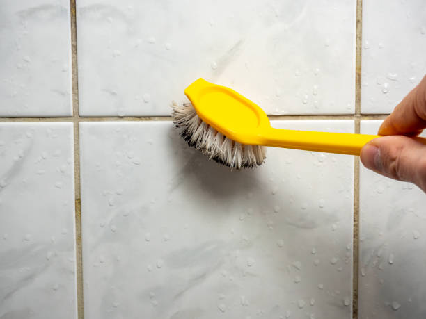  Bunker Hl, IL Mold Removal Pros