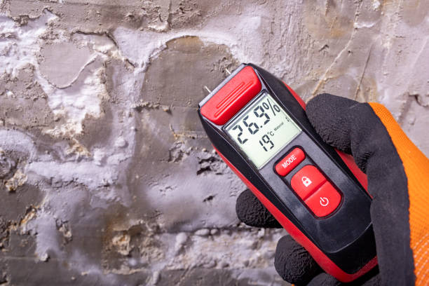 Best Professional Mold Removal  in Bunker Hl, IL
