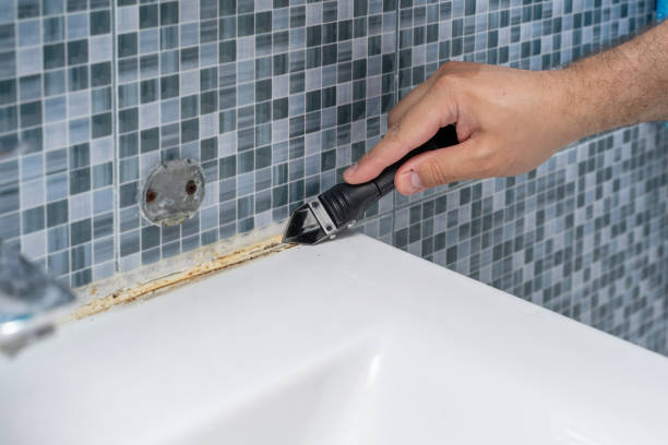 Best Black Mold Removal  in Bunker Hl, IL